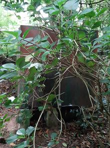 Old Steel Oil Tank Removal Old Steel Oil Tank Removal