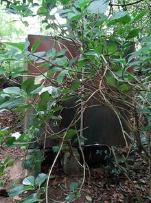 Old Steel Oil Tank Removal