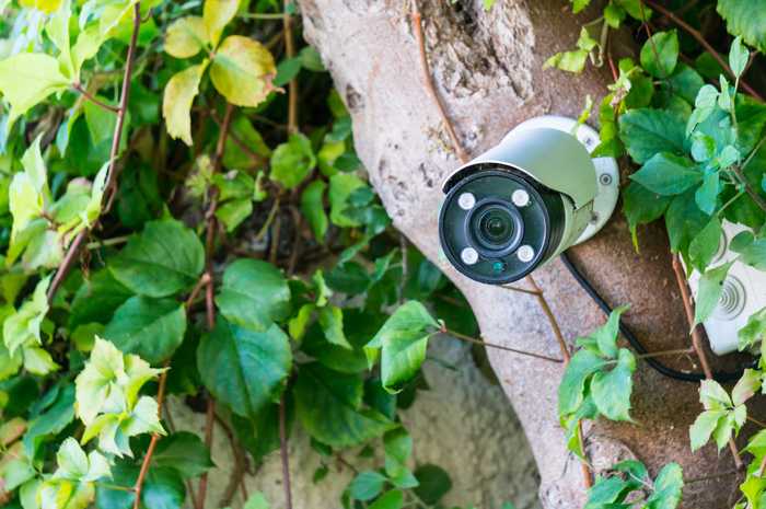 CCTV in the garden
